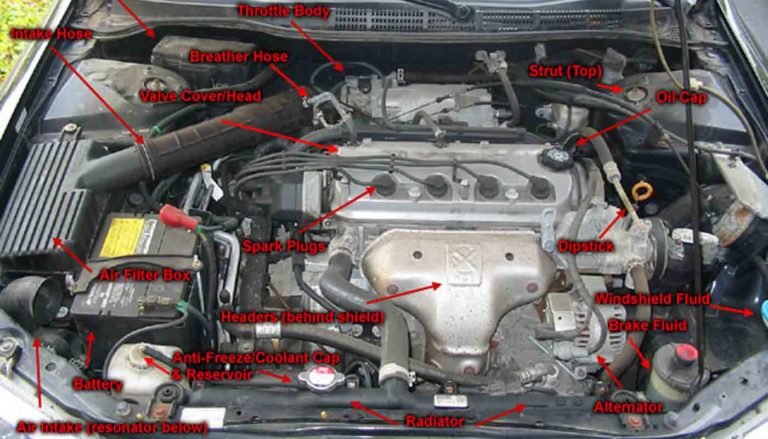 Beginner’s Guide To Body Parts under the Hood Of Your Car