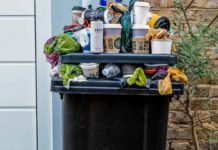Fixing-Residential-Dumpster-Dilemmas-Through-Rental-Expertise-on-newsworthyblog