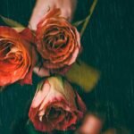 The-Language-Of-Flowers-The-Symbolism-Of-Sadness-In-Blooms-on-newsworthyblog