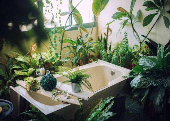 What Makes A Professional Bathtub Installation Service Worth The Investment