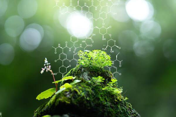 Journal of Zhengzhou University–Natural Science: Excellence in Scientific Research and Innovation
