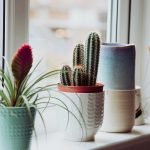 Creating Memorable Business Environments Through Fragrance Strategy On NewsWorthyBlog